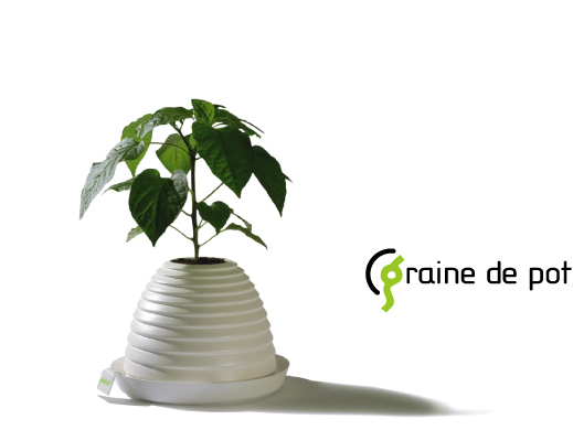 graine de pot